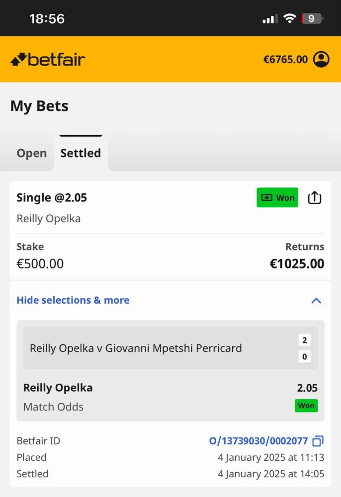 2025-01-04 19.00.48.webp