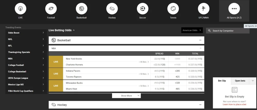 Bodog Interface