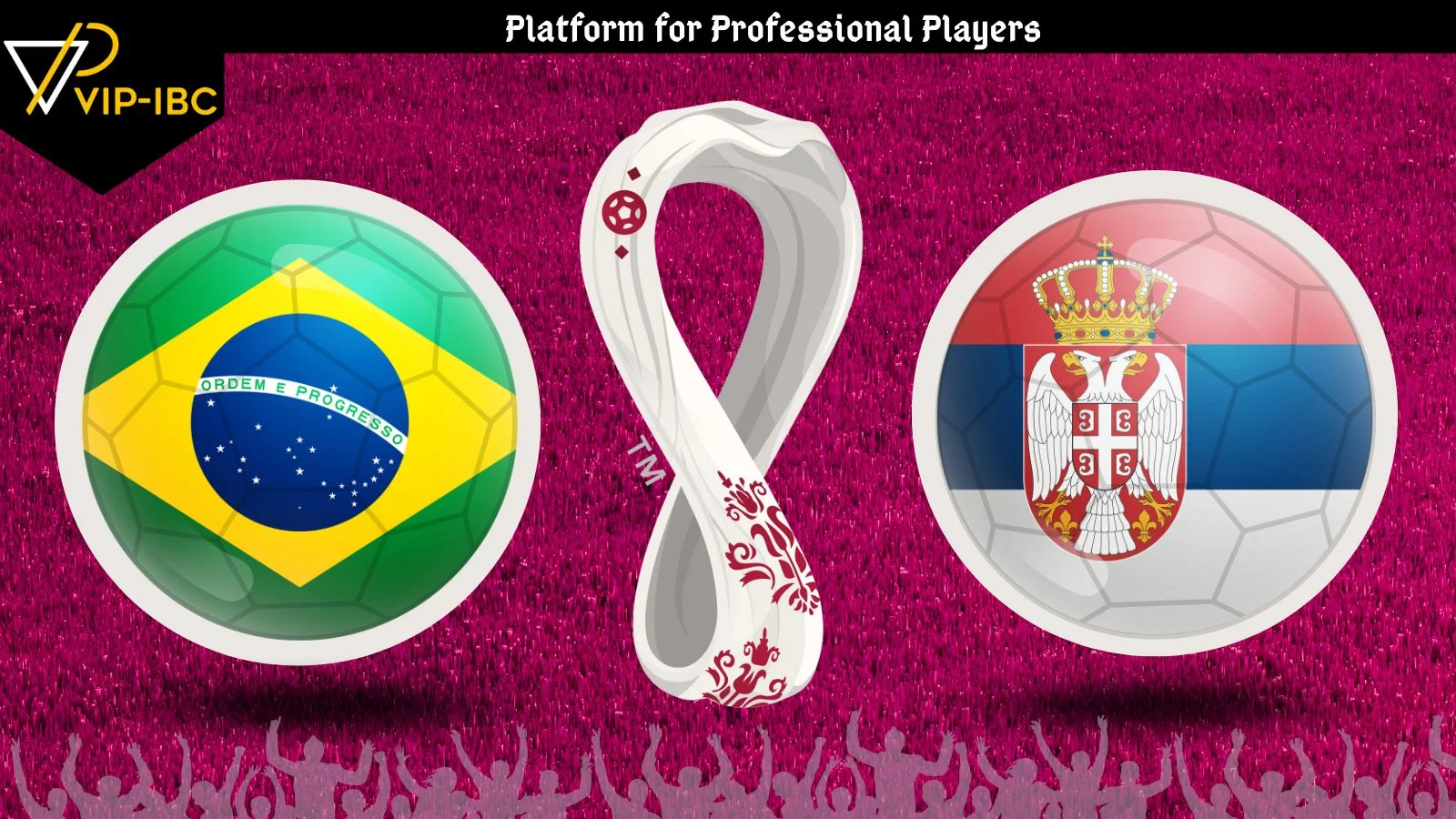 Brazil - Serbia, world cup betting tips.webp