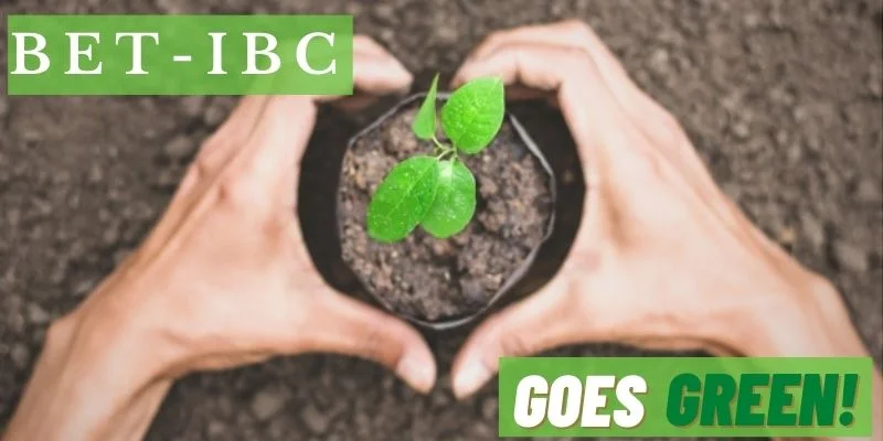 Copy of Untitled Design (1).webp