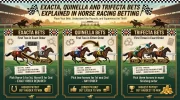 Exacta, Quinella and Trifecta Bets Explained in Horse Racing Betting.webp