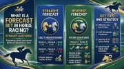 What Is a Forecast Bet in Horse Racing Straight vs Reverse.webp