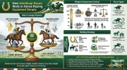 How Handicap Races Work in Horse Racing Explained Simply.webp