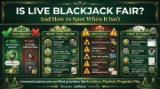 blackjack_fairness_infographic_1.webp