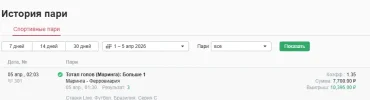 отчет по маринга - ферровария.webp