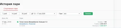 отчет по фнер рези.webp