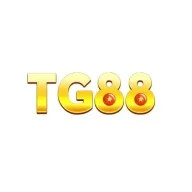 Tg88nycom