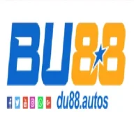 du88autos1