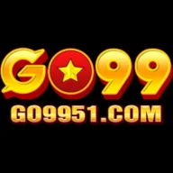 Go9951com1