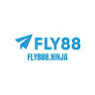 fly888ninja