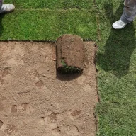 turfgreenpro