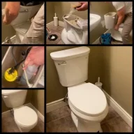 toiletoakville