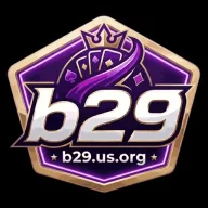 B29usorg1