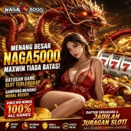 Naga5000 local server