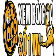 socolive55zxz