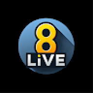 8livebingo1