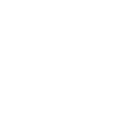 rr88auscom1