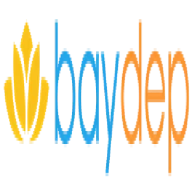 baydepvjair