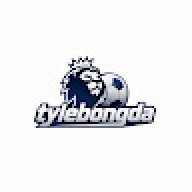 tylebongdafan
